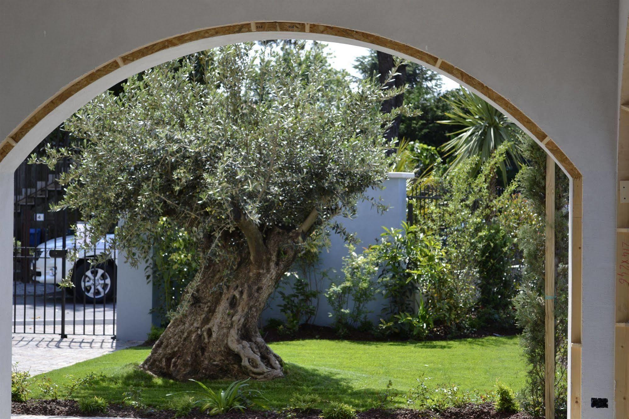 Acqua Resorts Σιρμιόνε Εξωτερικό φωτογραφία